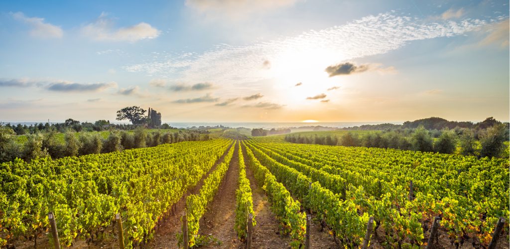 Maison Veuve Clicquot Ponsardin, séminaire d'entreprise