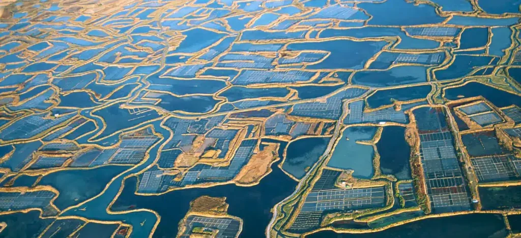 Marais Salants de Guérande / Terre de Sel, espace pour événement d'entreprise, Loiret