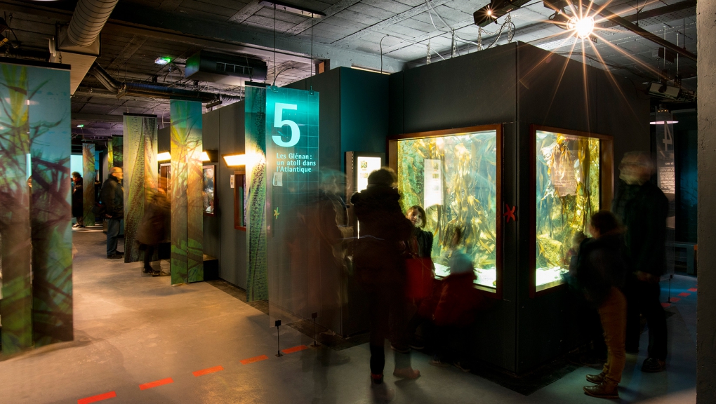 Marinarium de Concarneau, espace pour événement d'entreprise, Finistère