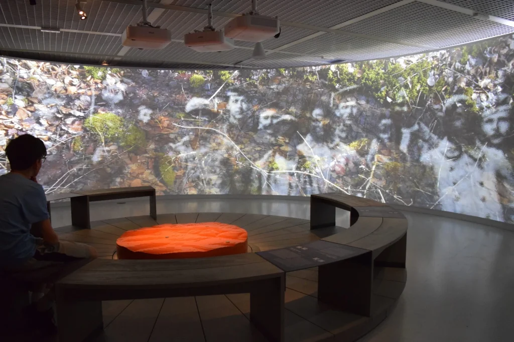 Mémorial de Verdun, espace pour événement d'entreprise