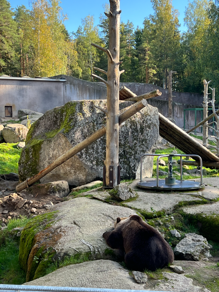 Mesi Zoo (ex-Ähtäri Zoo), espace séminaire pour entreprise