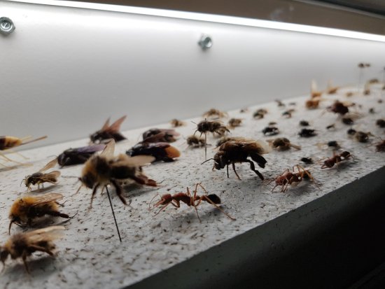 Micropolis, espace séminaire pour entreprise en Aveyron