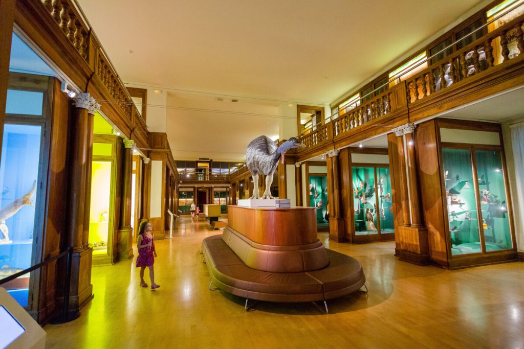Musée de Grenoble, séminaire d'entreprise, Isère