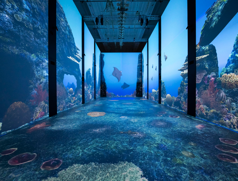 Musée Océanographique de Monaco, événement d'entreprise 