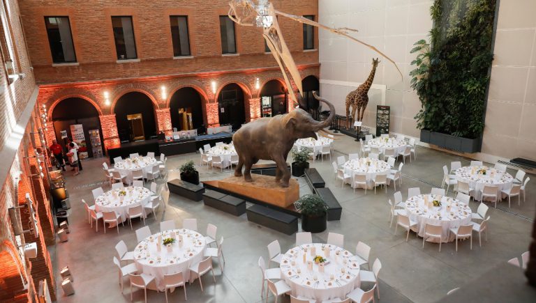 Muséum de Toulouse Haute-Garonne