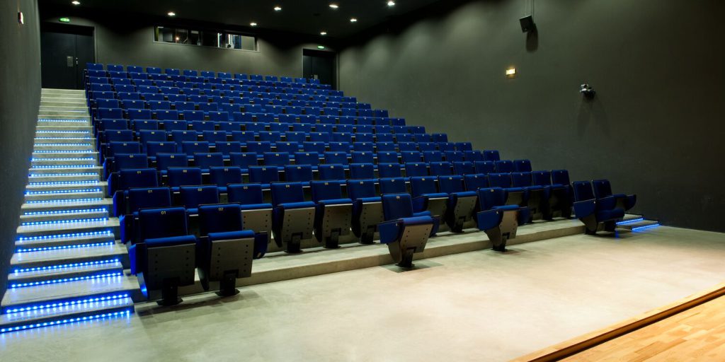 Muséum de Toulouse, séminaire d'entreprise, Haute-Garonne