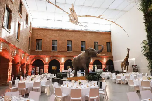 Muséum de Toulouse, espace pour événement d'entreprise, Haute-Garonne