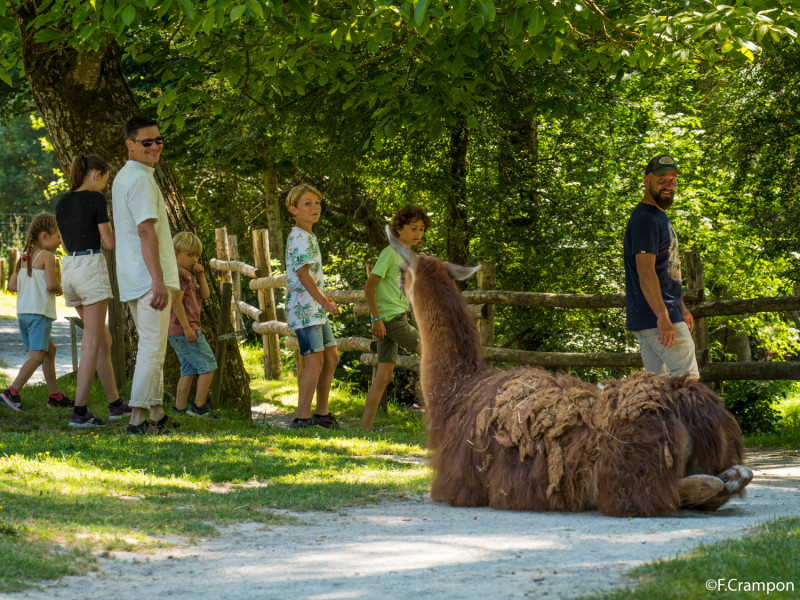 Natural’Parc Zoo & Attractions, espace pour événement d'entreprise, Maine-et-Loire