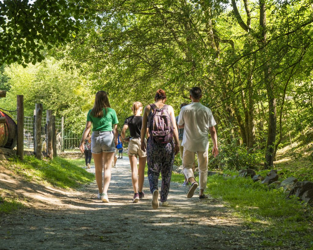 Natural'Parc Zoo & Attractions, espace séminaire pour entreprise en Maine-et-Loire