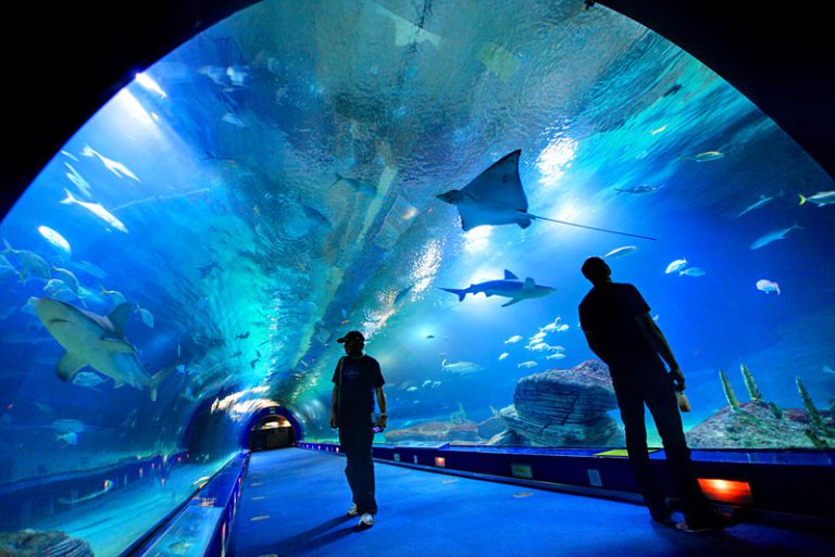 Oceanogràfic de València, événement d'entreprise 