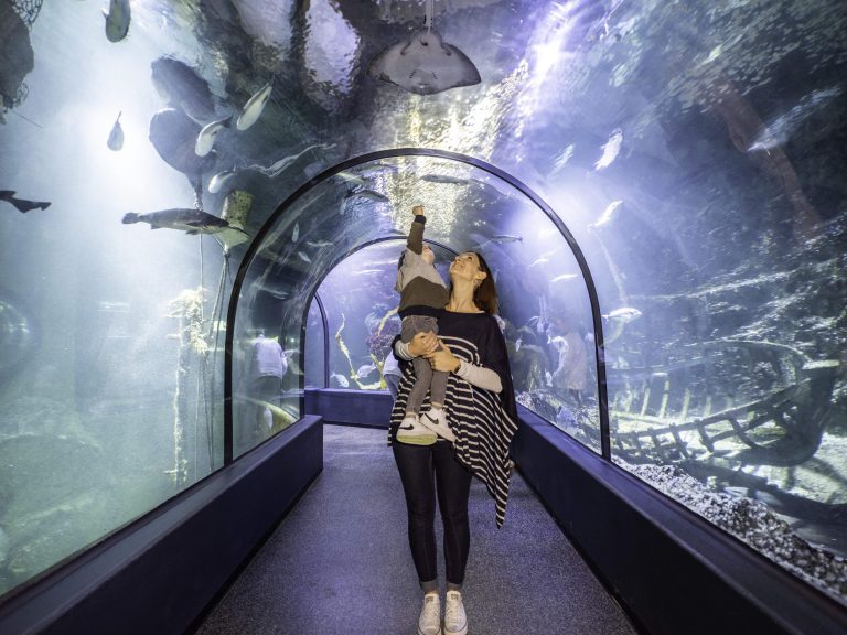 Océarium du Croisic, événement d'entreprise Loire-Atlantique