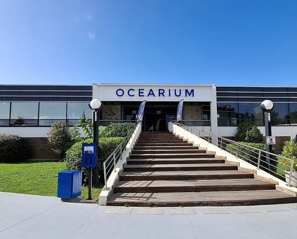 Océarium du Croisic, séminaire d'entreprise, Loire-Atlantique