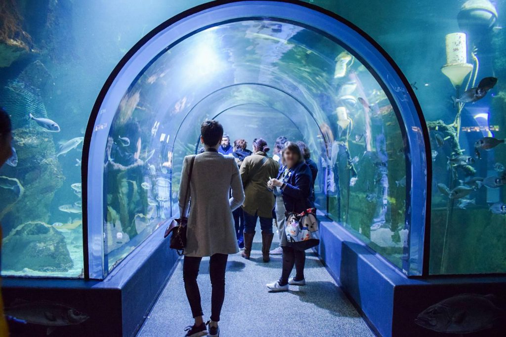 Océarium du Croisic, espace pour événement d'entreprise, Loire-Atlantique