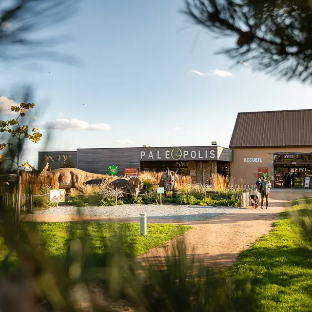 Paléopolis, séminaire d'entreprise, Allier