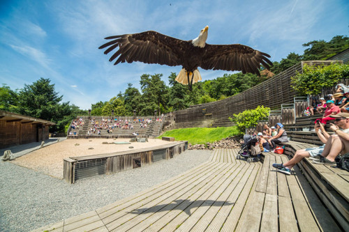 Parc Animalier de Courzieu, espace pour événement d'entreprise, Rhône