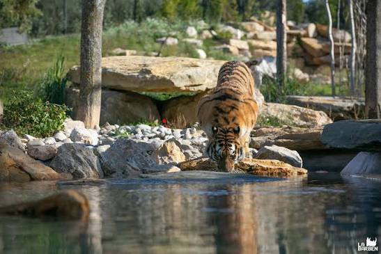 Parc Animalier de la Barben, espace pour événement d'entreprise, Bouches-du-Rhône