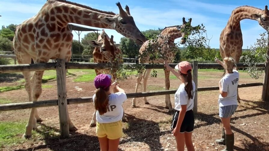 Parc Animalier de la Barben, lieu d'événement d'entreprise en Bouches-du-Rhône