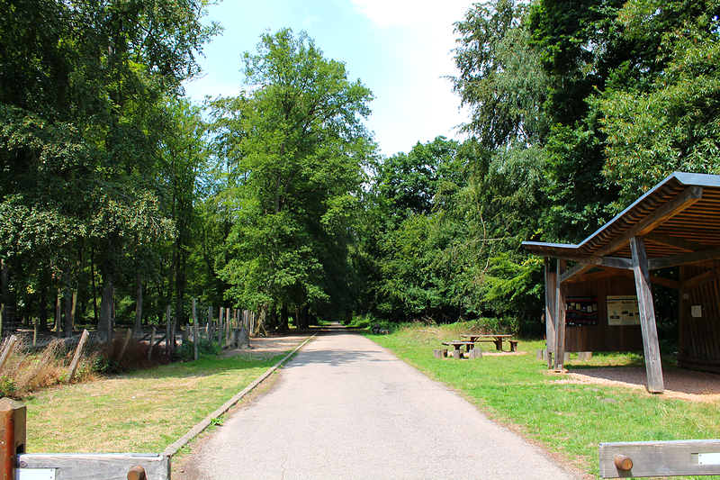 Parc Animalier de la Forêt de Roumare, espace séminaire pour entreprise en Seine-Maritime