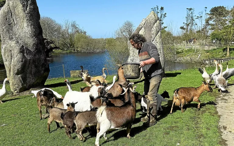 Parc Animalier de Sainte-Croix, événement d'entreprise Moselle