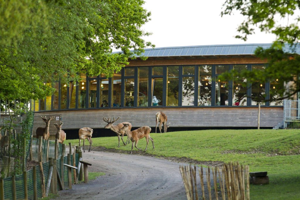 Parc Animalier de Sainte-Croix, lieu d'événement d'entreprise en Moselle