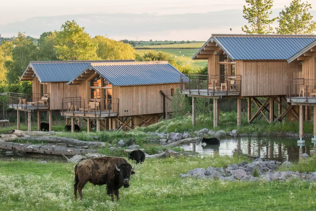 Parc Animalier de Sainte-Croix, espace séminaire pour entreprise en Moselle