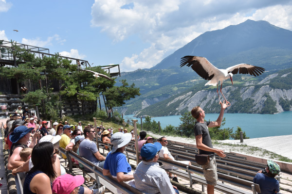 Parc Animalier de Serre-Ponçon, espace pour événement d'entreprise, Hautes-Alpes