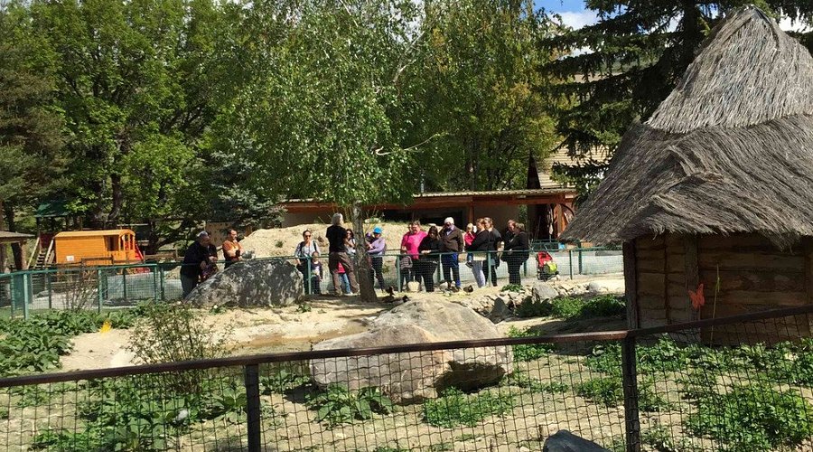 Parc Animalier de Serre-Ponçon, espace séminaire pour entreprise en Hautes-Alpes