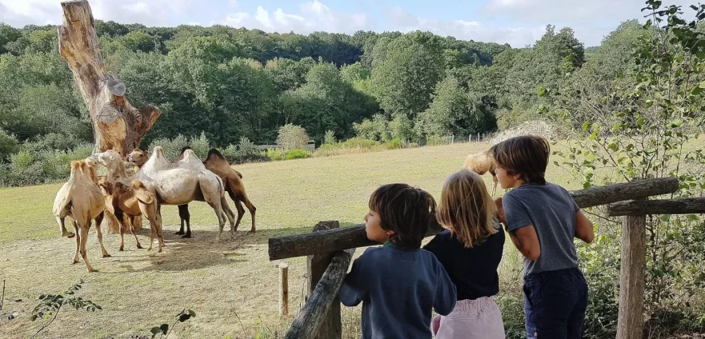 Parc Animalier d’Écouves, séminaire d'entreprise, Orne