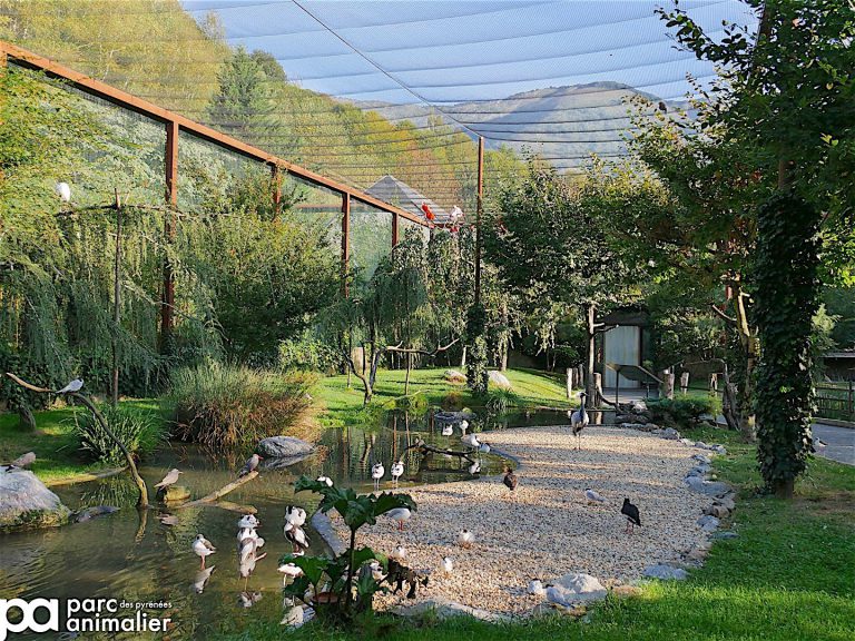 Parc Animalier des Pyrénées, événement d'entreprise Hautes-Pyrénées