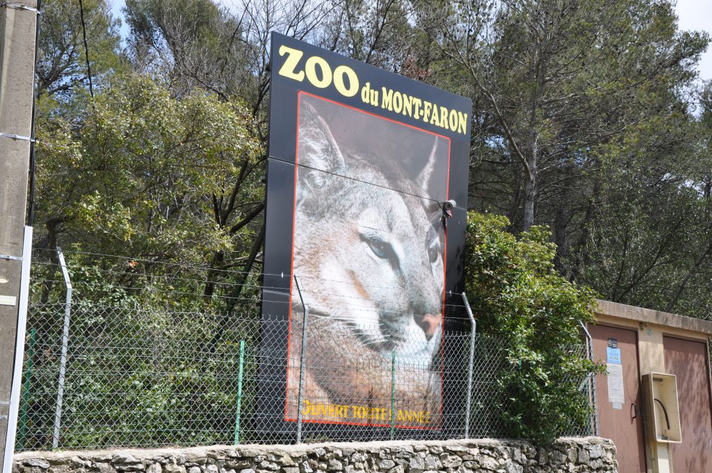 Parc Animalier du Mont Faron, séminaire d'entreprise, Var