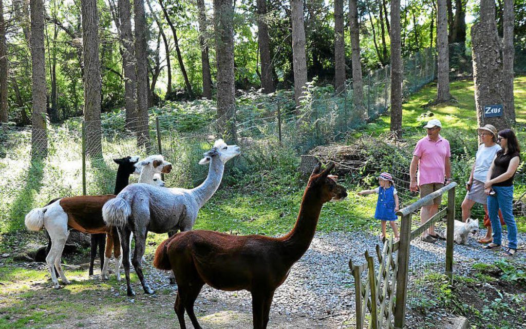 Parc Animalier du Quinquis, lieu d'événement d'entreprise en Finistère