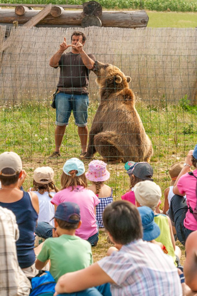 Parc Animalier du Ségala, séminaire d'entreprise, Aveyron