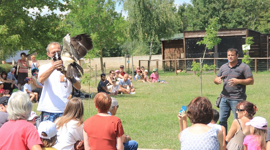 Parc Animalier du Ségala, lieu d'événement d'entreprise en Aveyron