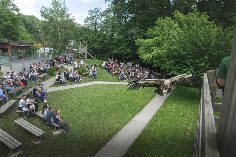 Parc Argonne Découverte, événement d'entreprise Ardennes