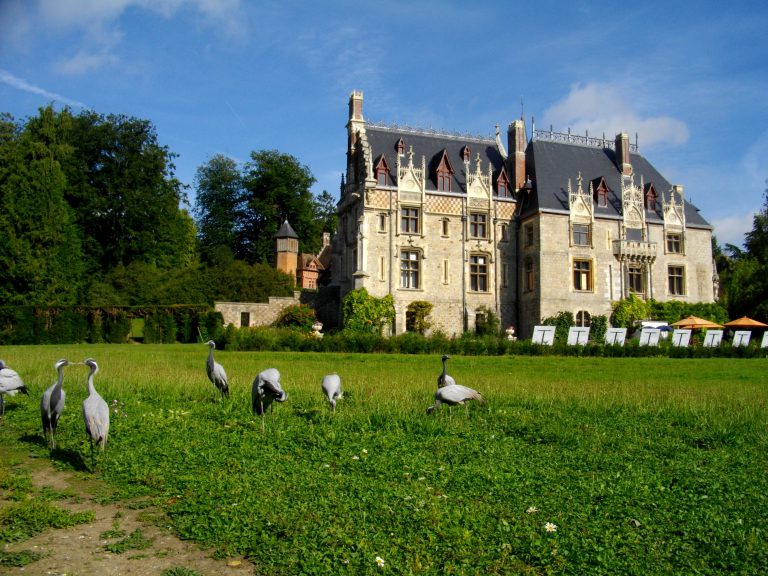 Parc de Clères, événement d'entreprise Seine-Maritime