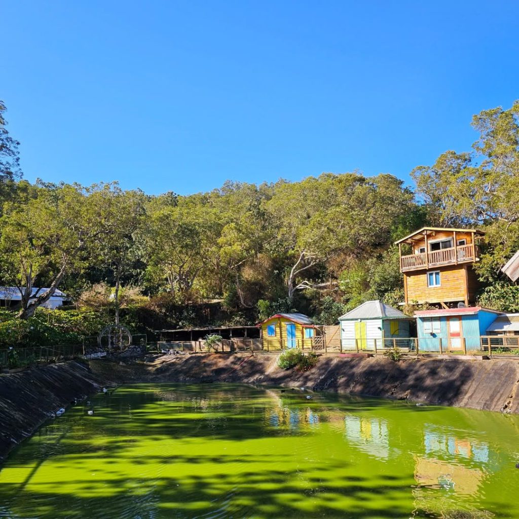 Parc de la Luge du Maïdo, séminaire d'entreprise, La Réunion