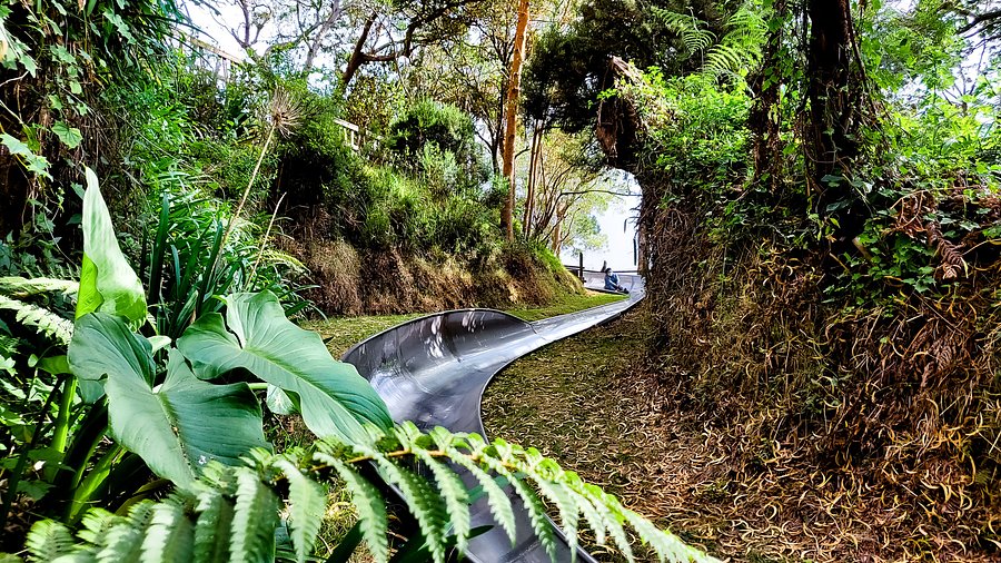 Parc de la Luge du Maïdo, espace séminaire pour entreprise en La Réunion