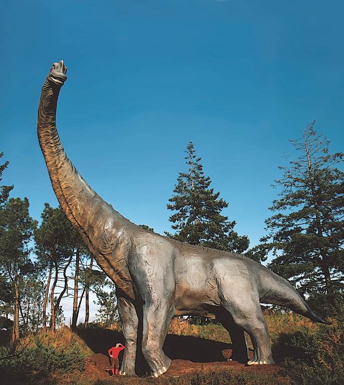 Parc de Préhistoire de Bretagne, événement d'entreprise Morbihan