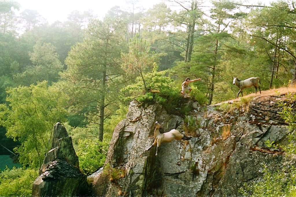 Parc de Préhistoire de Bretagne, espace séminaire pour entreprise en Morbihan