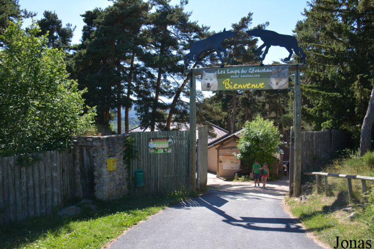 Parc des Loups du Gévaudan, événement d'entreprise Lozère