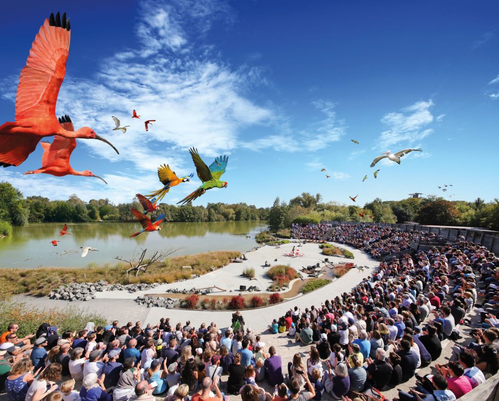 Parc des Oiseaux, événement d'entreprise en Ain