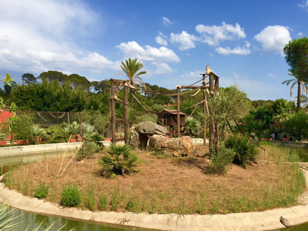 Parc Zoologique de Fréjus, événement d'entreprise en Var
