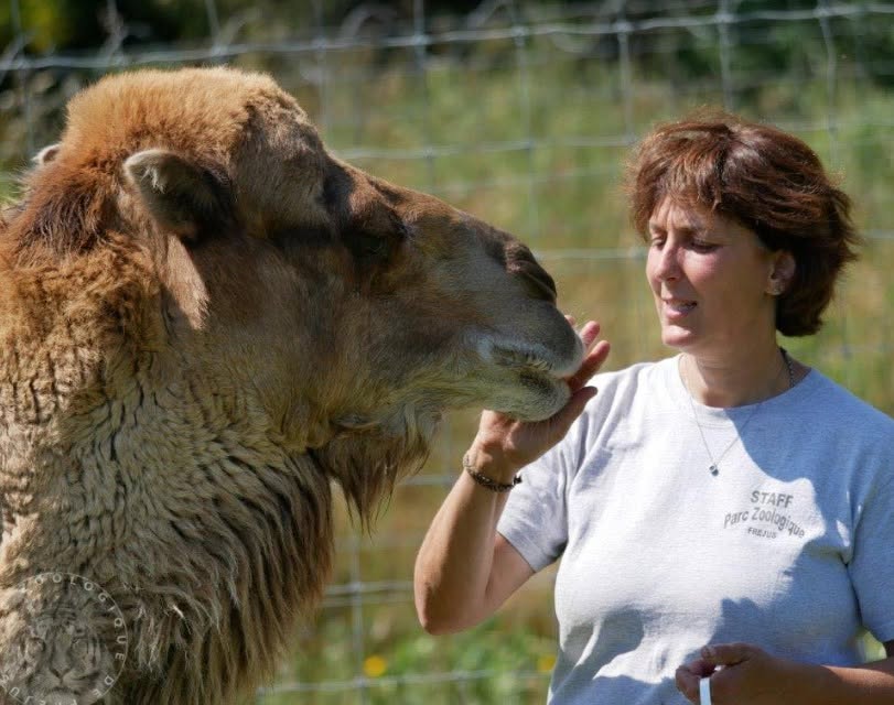 Parc Zoologique de Fréjus, séminaire d'entreprise, Var