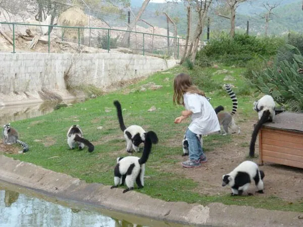 Parc Zoologique de Fréjus, espace séminaire pour entreprise en Var