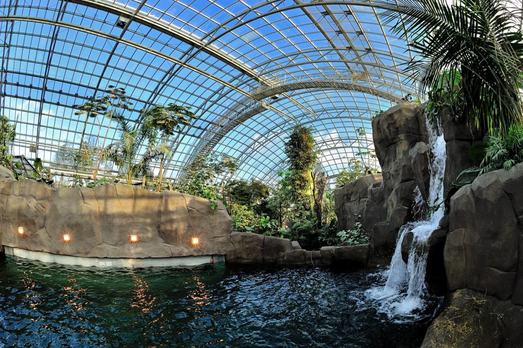 Parc Zoologique de Paris (zoo de Vincennes), séminaire d'entreprise, Paris