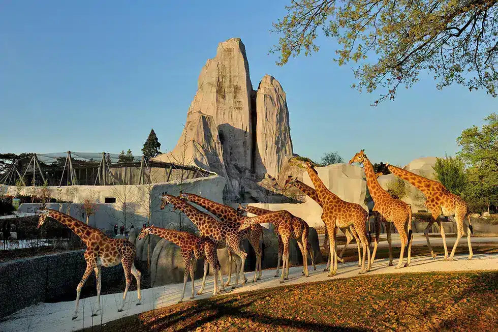 Parc Zoologique de Paris (zoo de Vincennes), espace séminaire pour entreprise en Paris