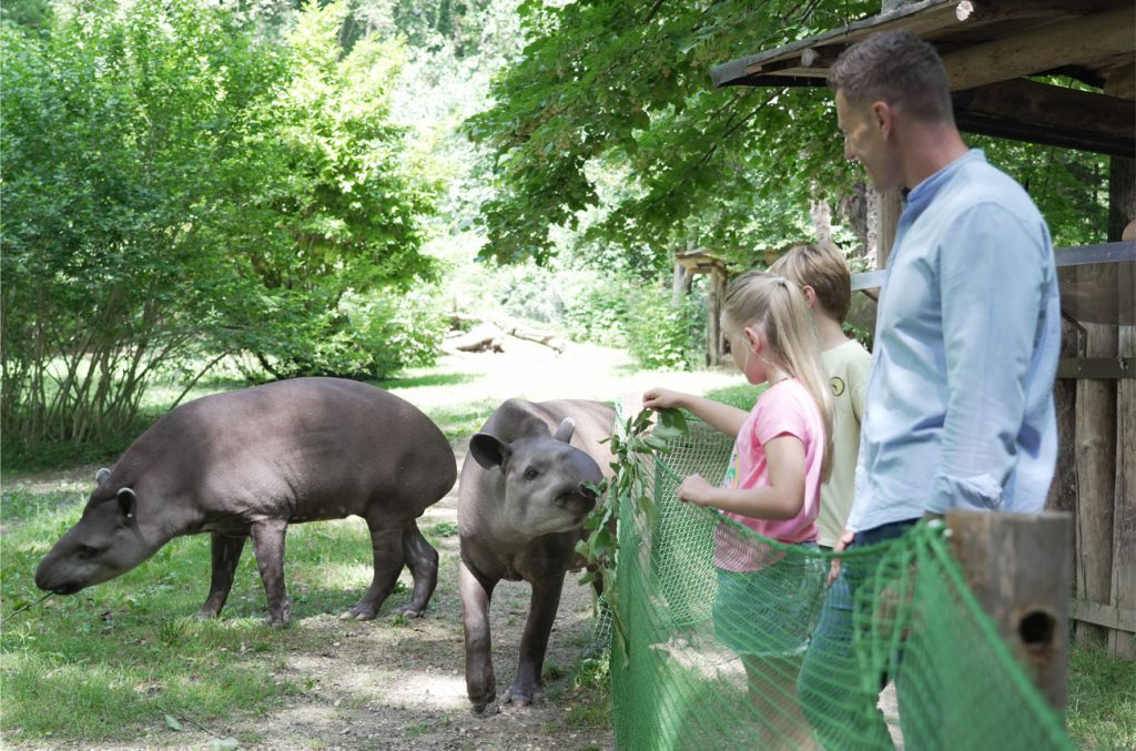 Parco Natura Viva, événement d'entreprise