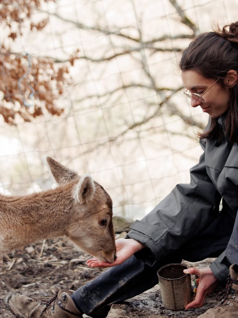 Parc&rsquo;Ours, séminaire d'entreprise, Pyrénées-Atlantiques