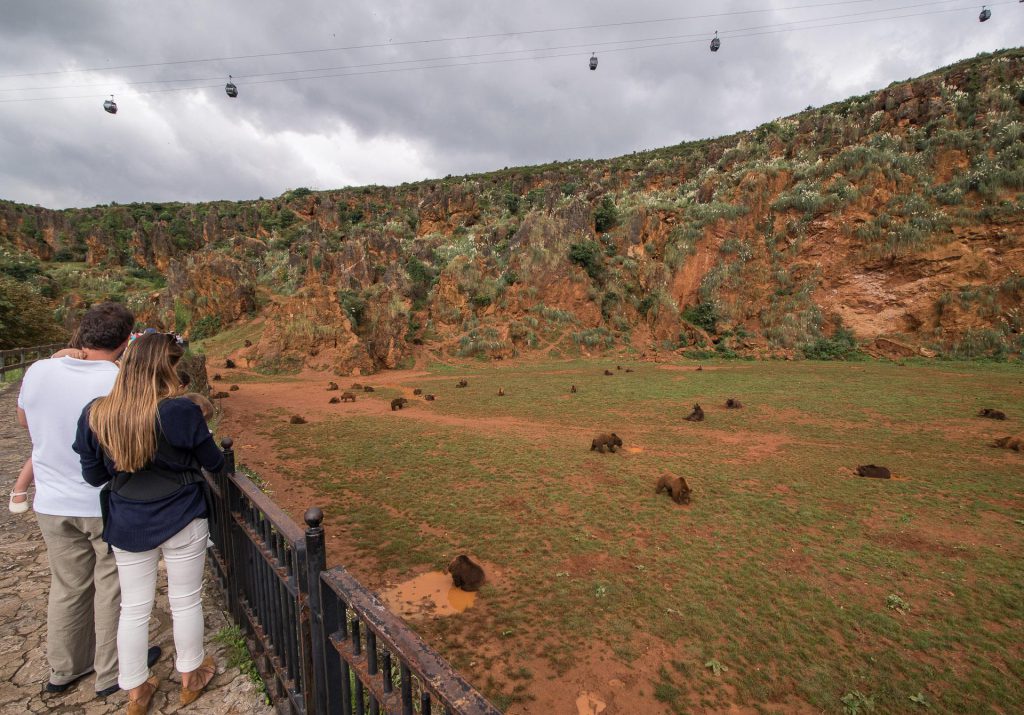Parque de la Naturaleza de Cabárceno, espace séminaire pour entreprise en Corse