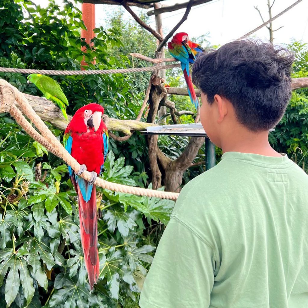 Parrot World, séminaire d'entreprise, Seine-et-Marne